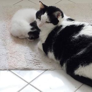 Meet your Posher, Marisa